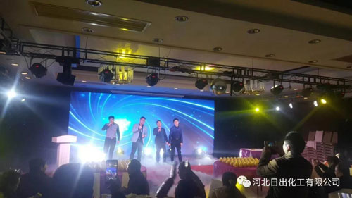 河北17c一起草化工无限公司2018年除夕晚会