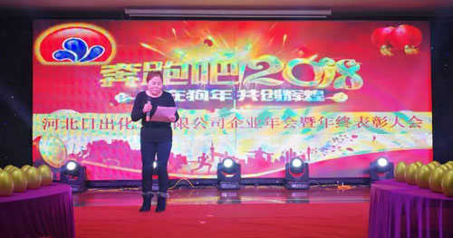 河北17c一起草化工无限公司2018年除夕晚会